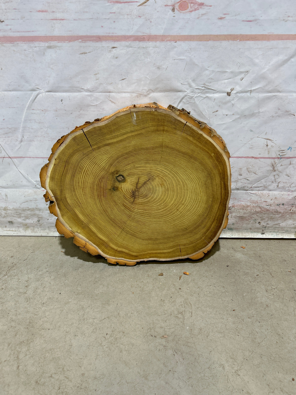 Live Edge Osage Orange Sku#28836M