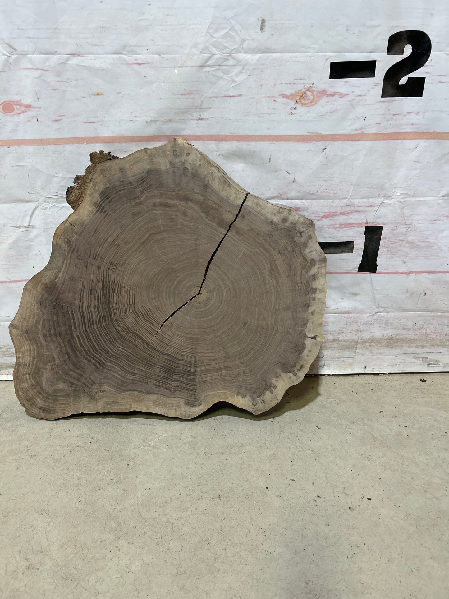 Live Edge Walnut Cookie Sku#27872M