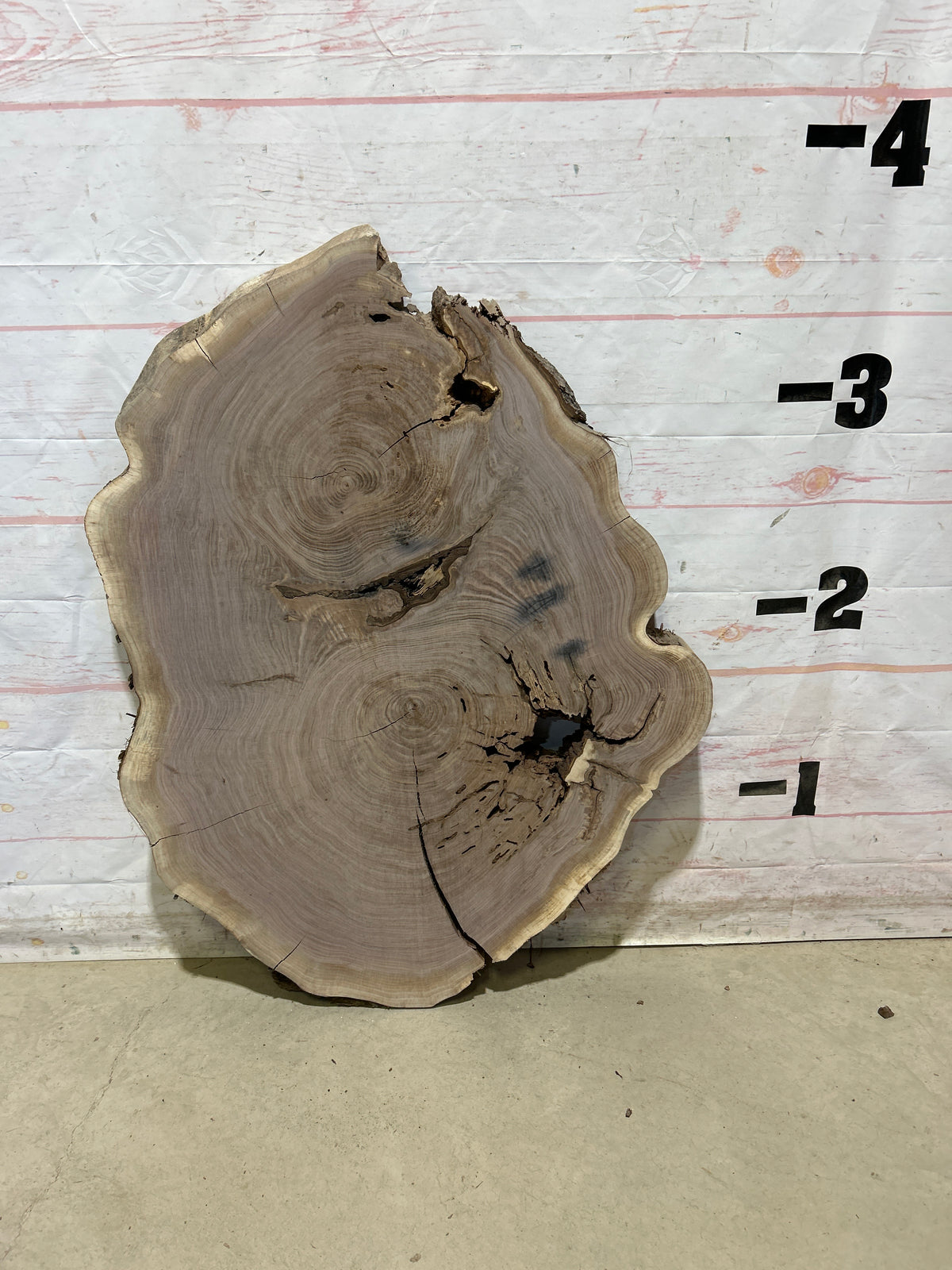 Live Edge Walnut Sku#28883M