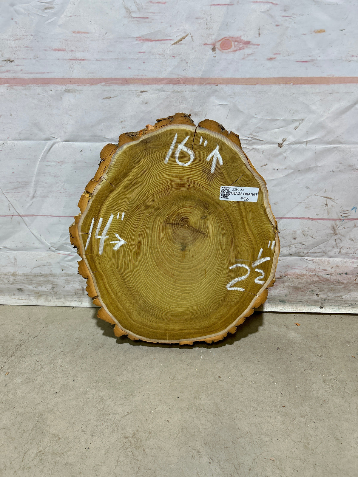 Live Edge Osage Orange Sku#28831M