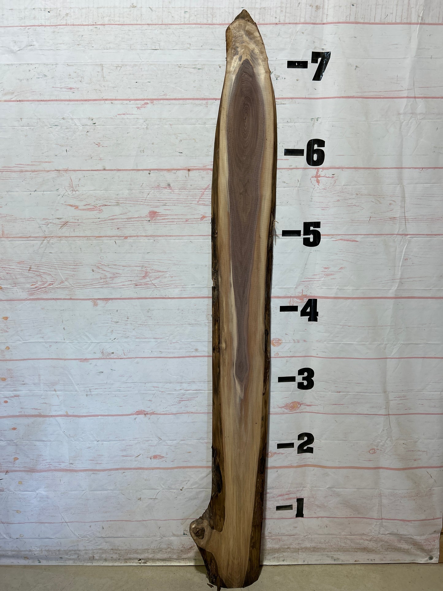 Live Edge Walnut Sku#28009M-9