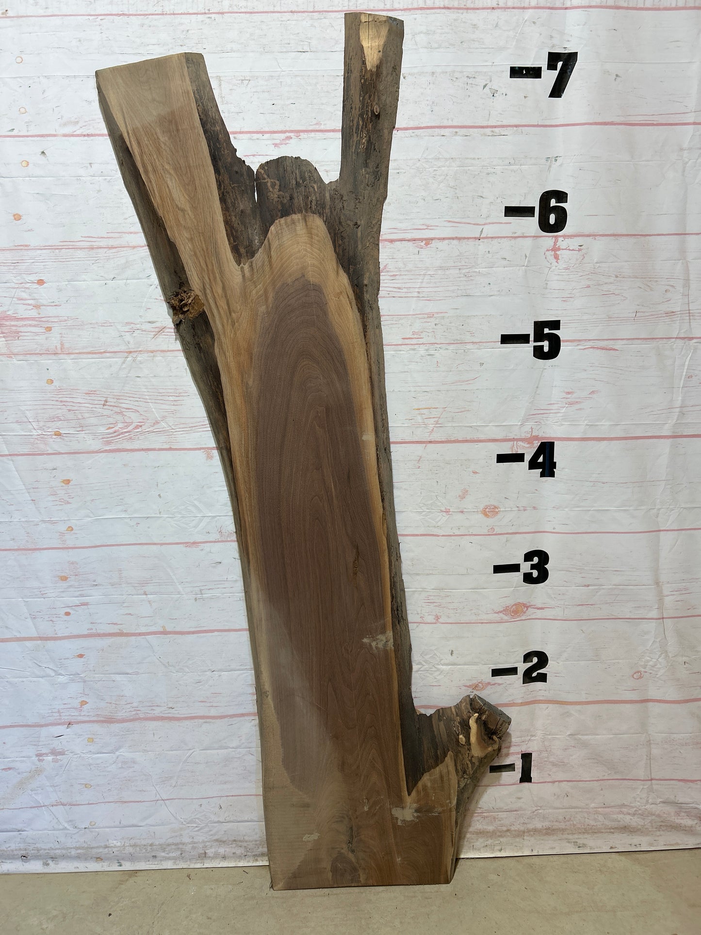Live Edge Walnut Sku#27809-20