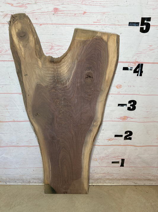 Live Edge Walnut Sku#27800-12