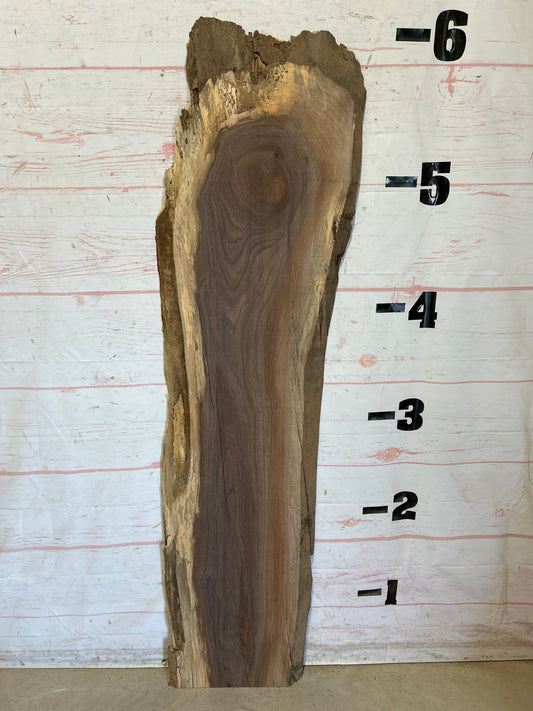 Live Edge Walnut Sku#28396F-12