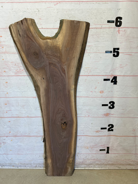 Live Edge Walnut Sku#27656-24