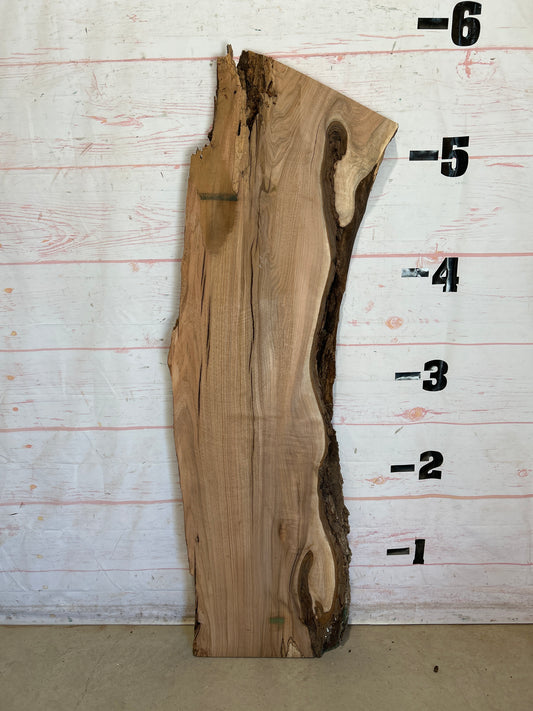 Live Edge Butternut Sku#26752-18