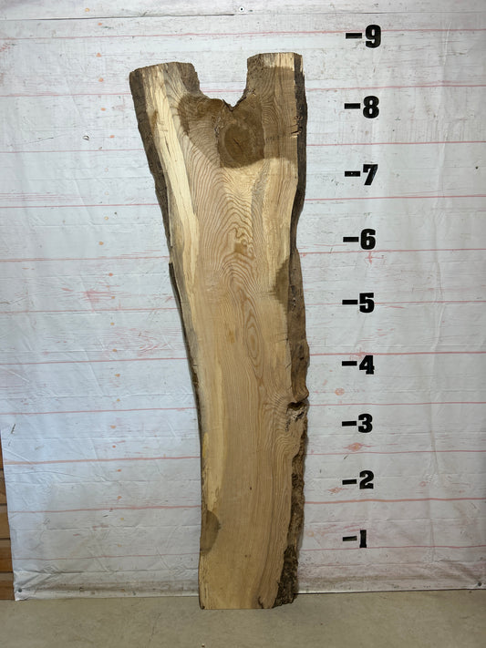 Live Edge Ash Sku#28813-36
