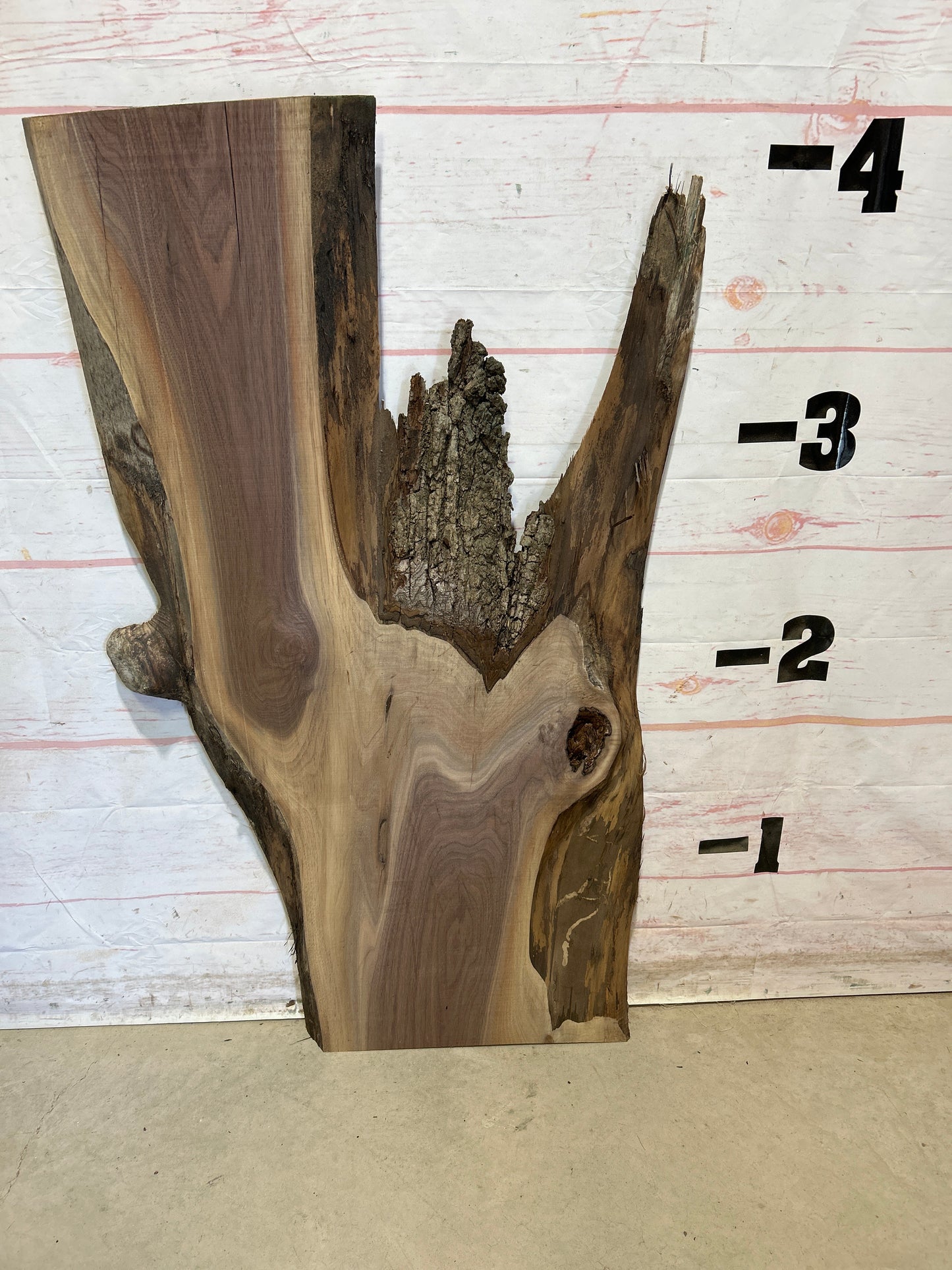 Live Edge Walnut Sku#28046M-17