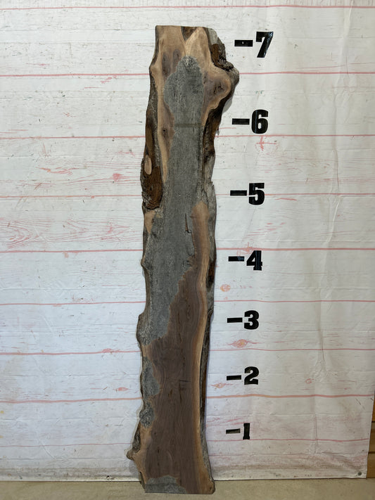 Live Edge Walnut Sku#28224M-8