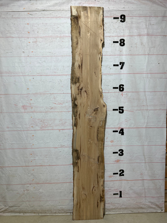 Live Edge Hickory Sku#28231-19