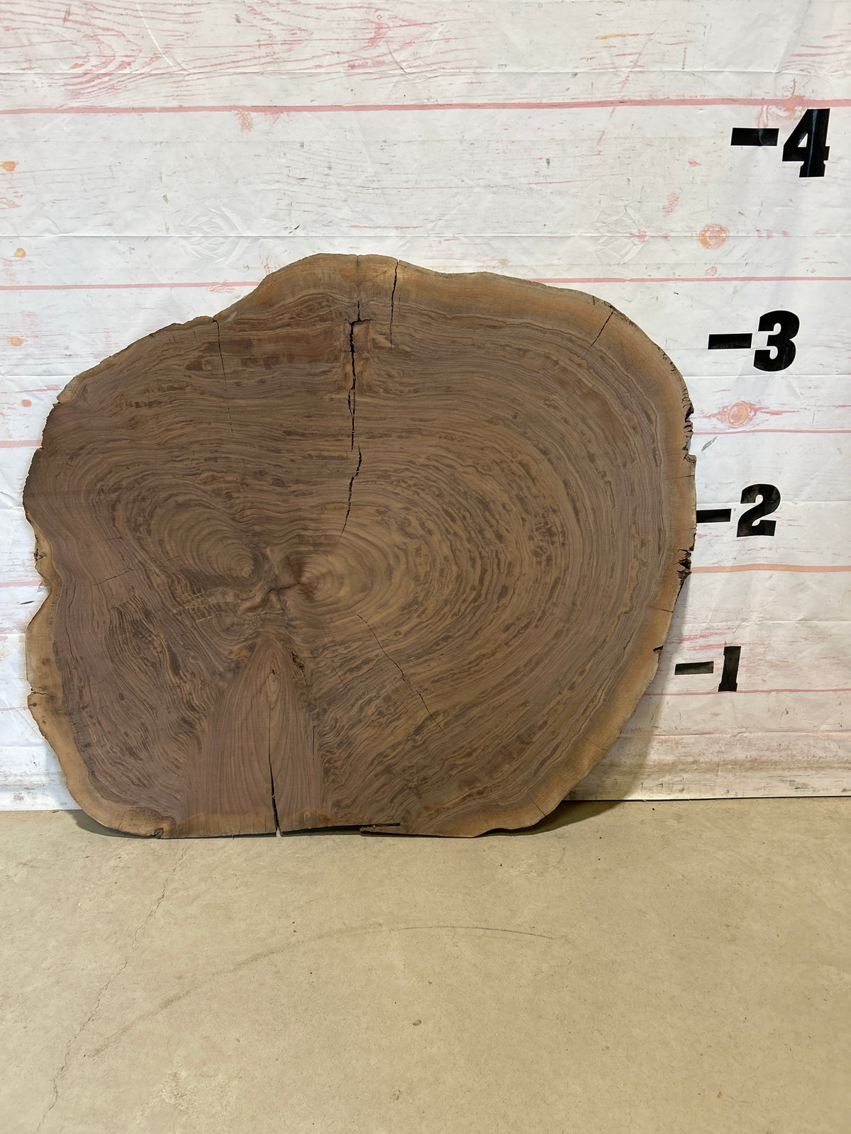 Live Edge Walnut Cookie Sku#28703M