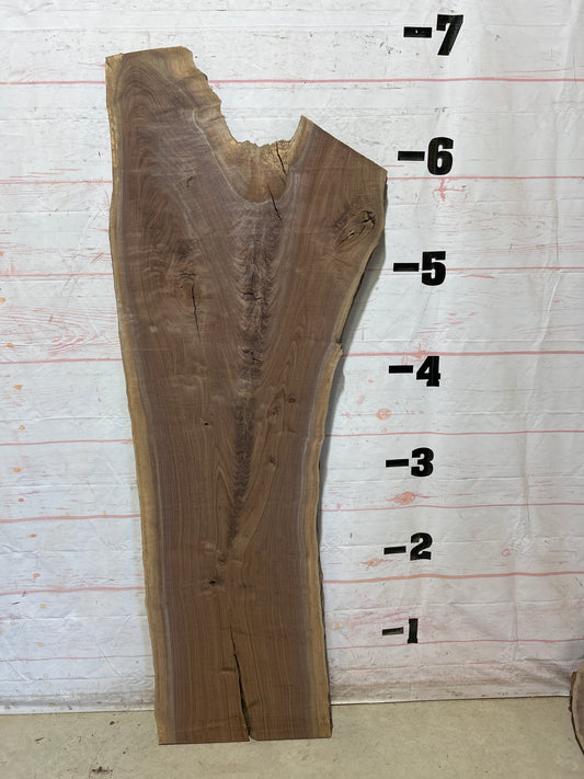 Live Edge Walnut Sku#28122-29