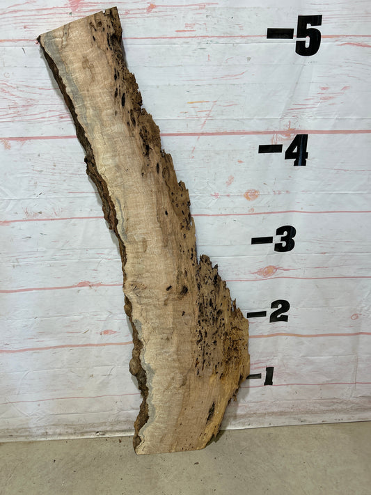 Live Edge Ambrosia Maple Sku#27268-10