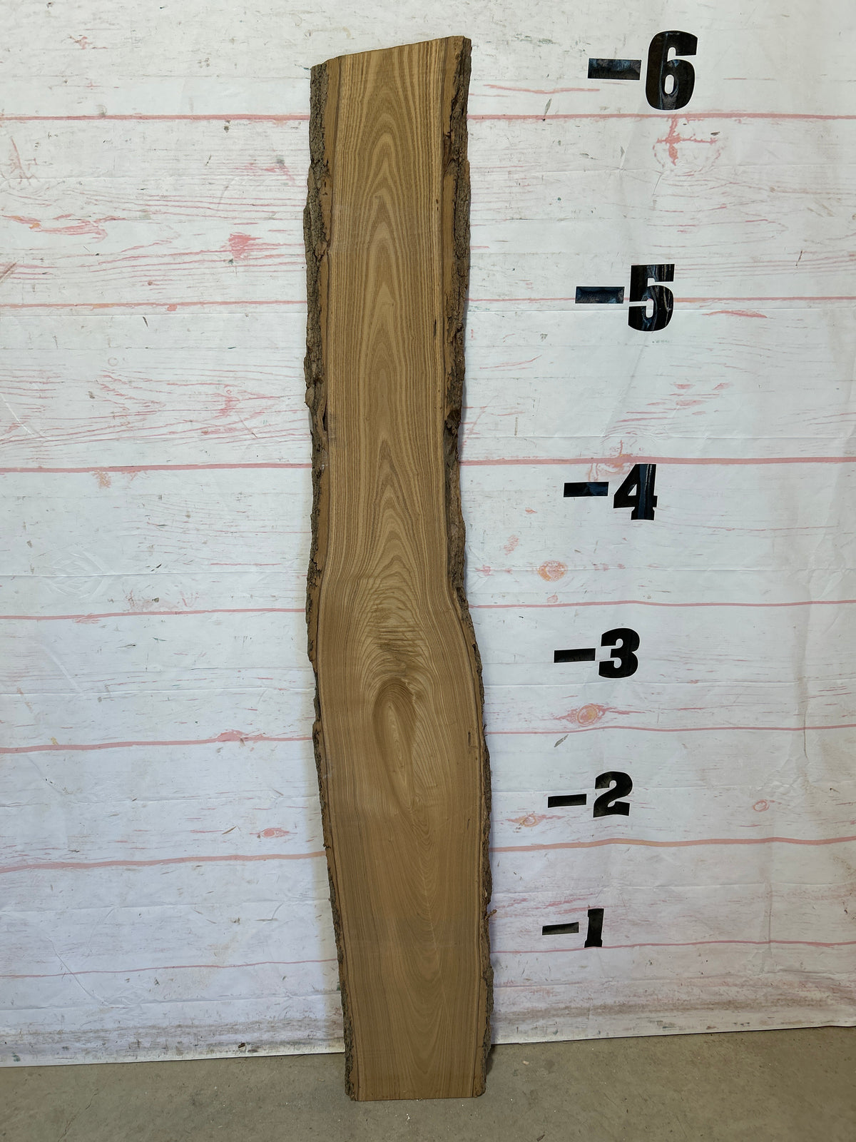 Live Edge Catalpa Sku#28668-8