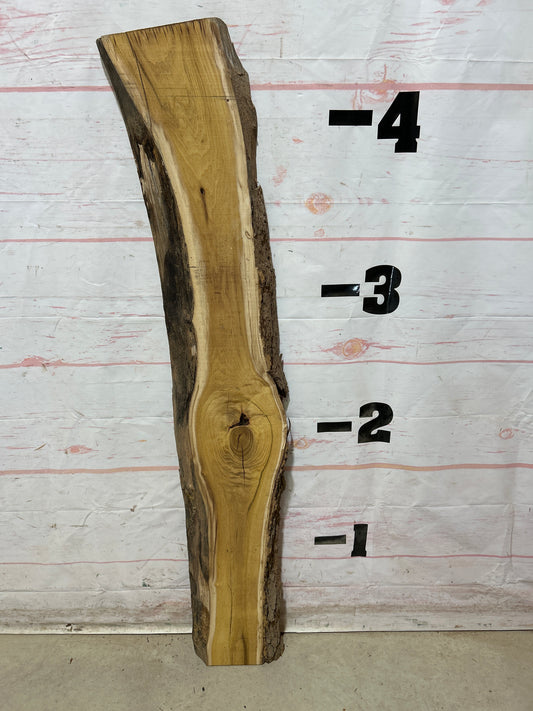 Live Edge Mulberry Sku#28372M-5