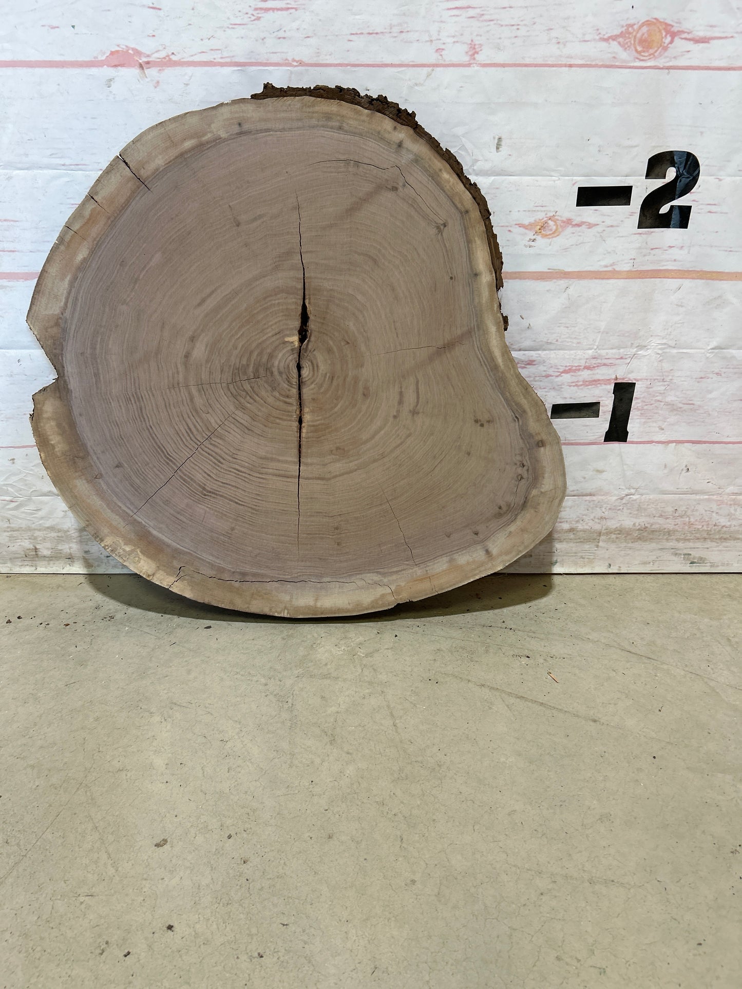 Live Edge Walnut Cookie Sku#28448M