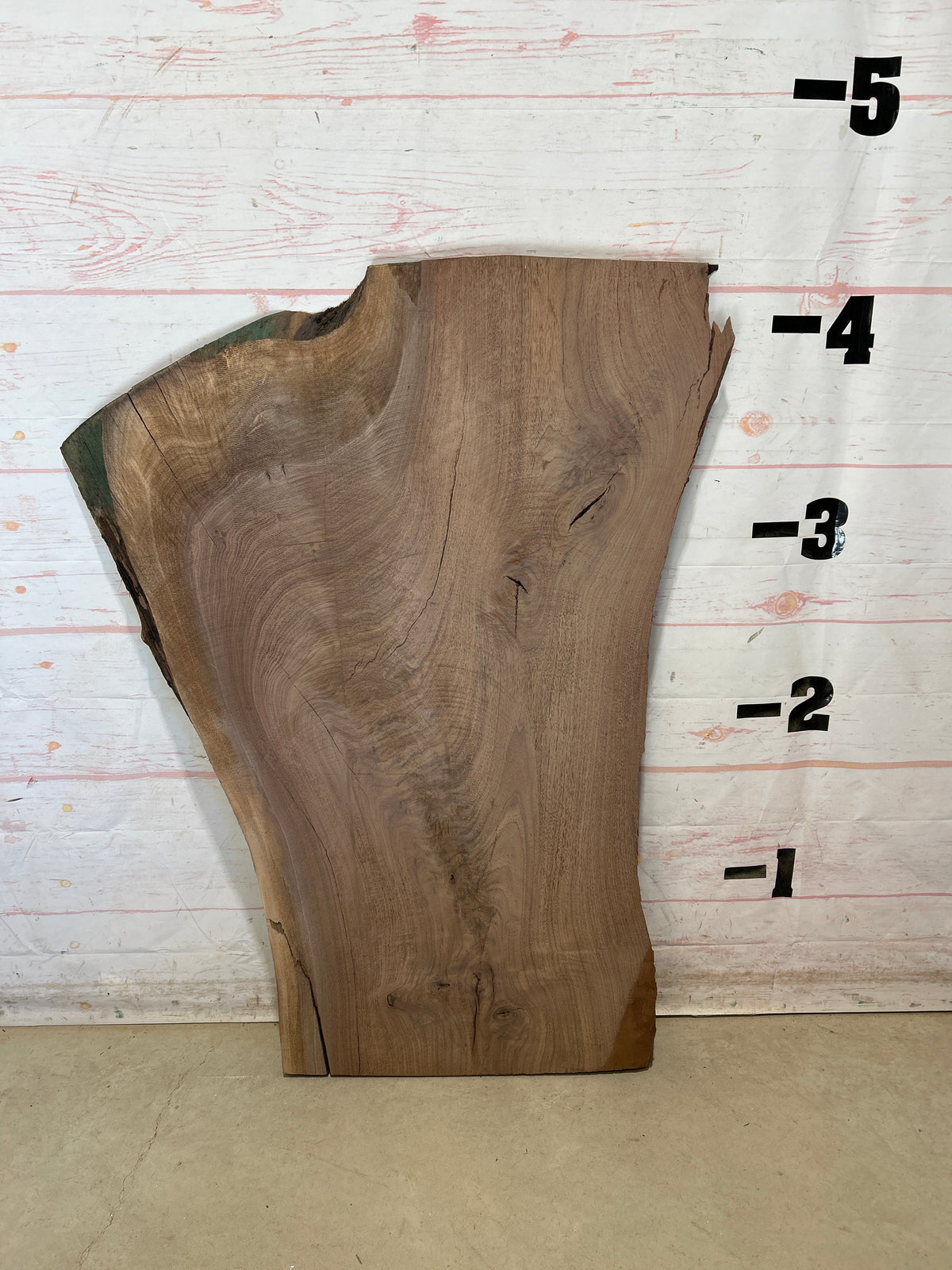 Live Edge Walnut Sku#28840M-22