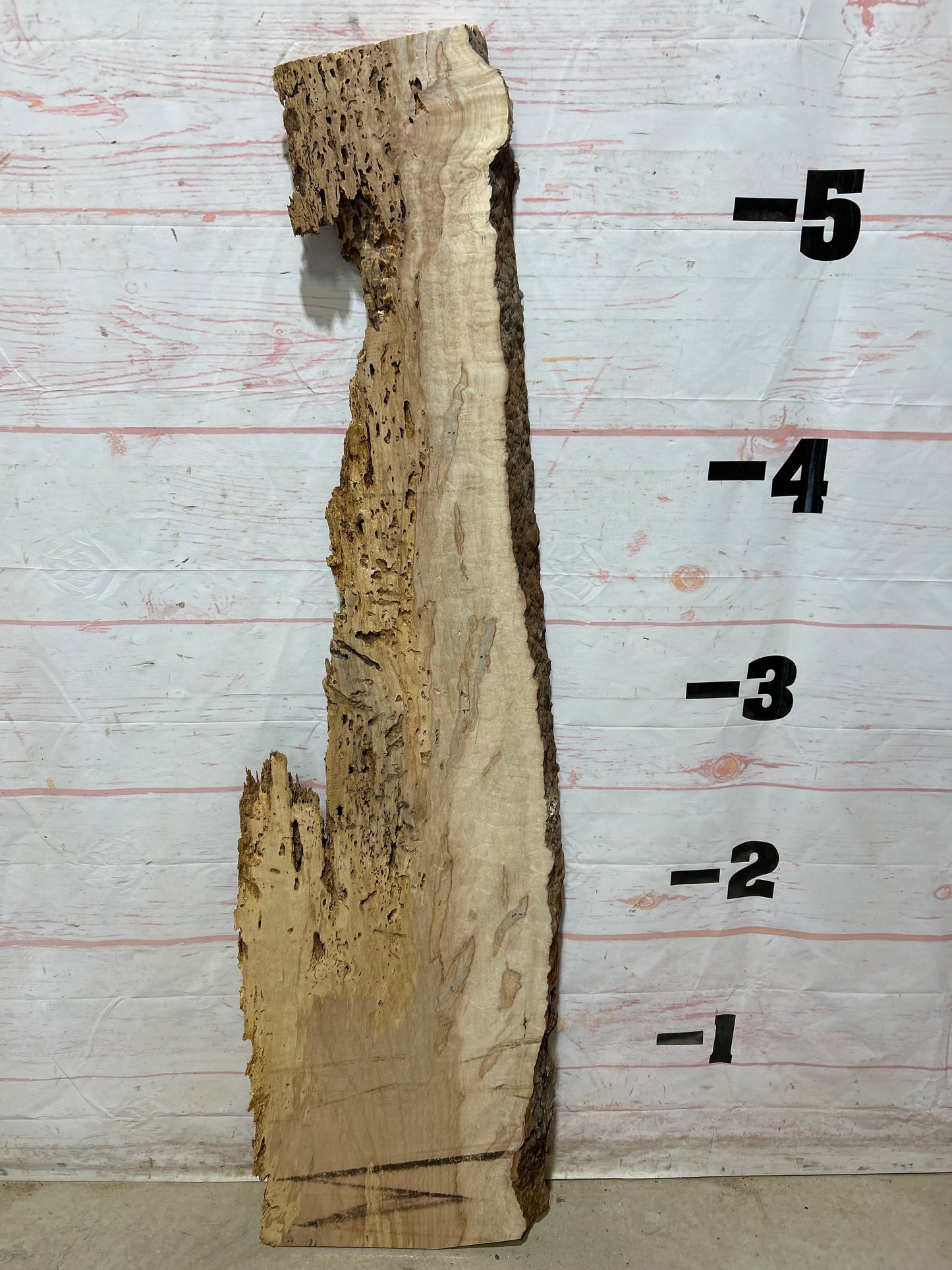 Live Edge Ambrosia Maple Sku#27262-15