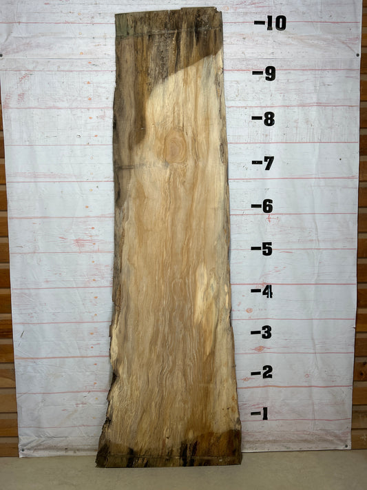 Live Edge Sycamore Sku#27447-53