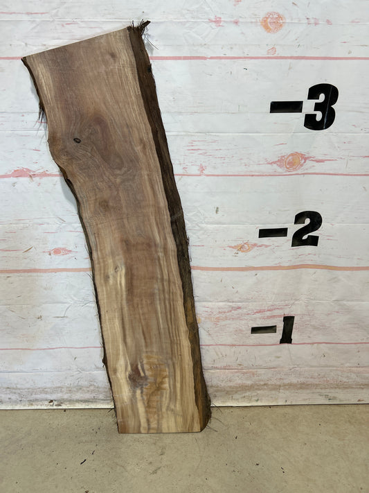 Live Edge Walnut Sku#28034M-5