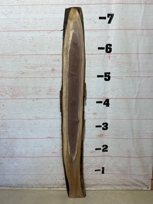 Live Edge Walnut Sku#28007M-8