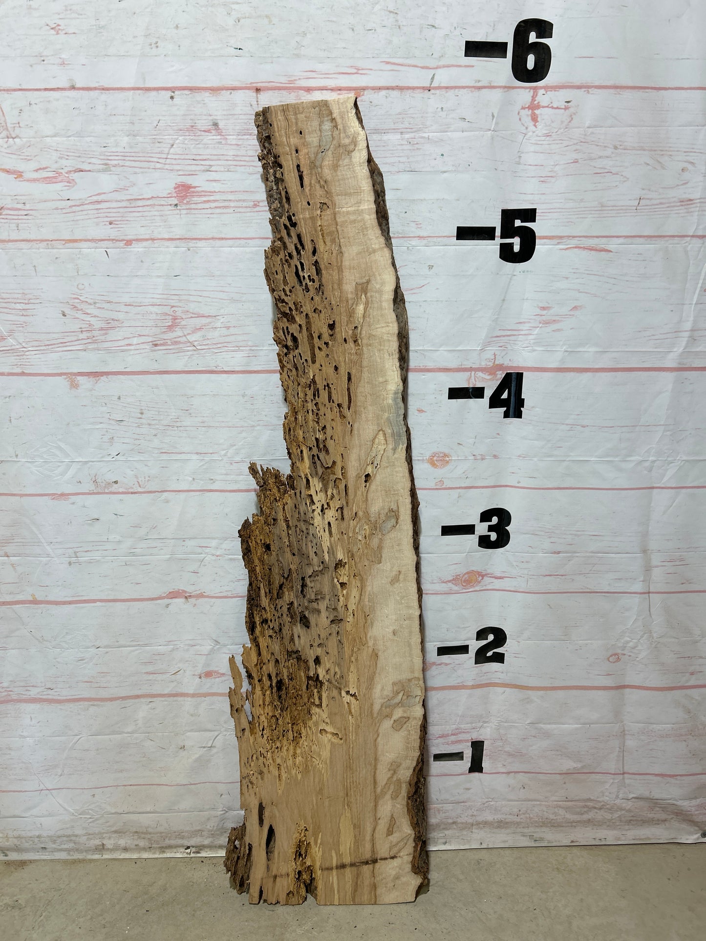 Live Edge Ambrosia Maple Sku#27267-13
