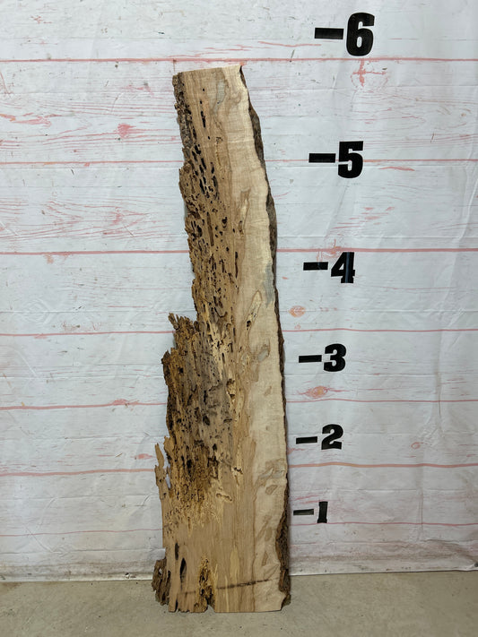 Live Edge Ambrosia Maple Sku#27267-13
