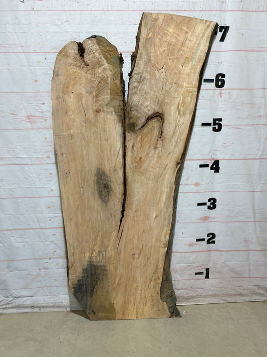 Live Edge Maple Sku#28428B-35