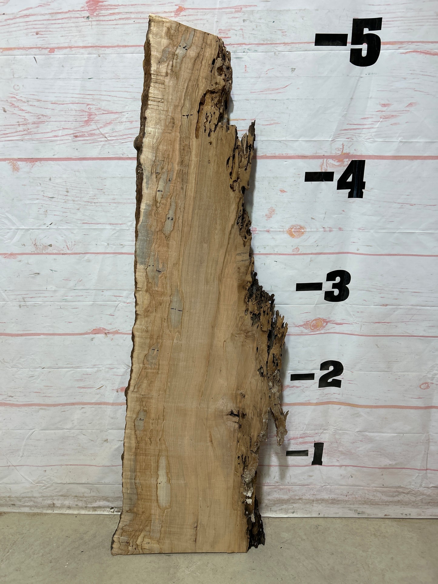 Live Edge Ambrosia Maple Sku#27264-13