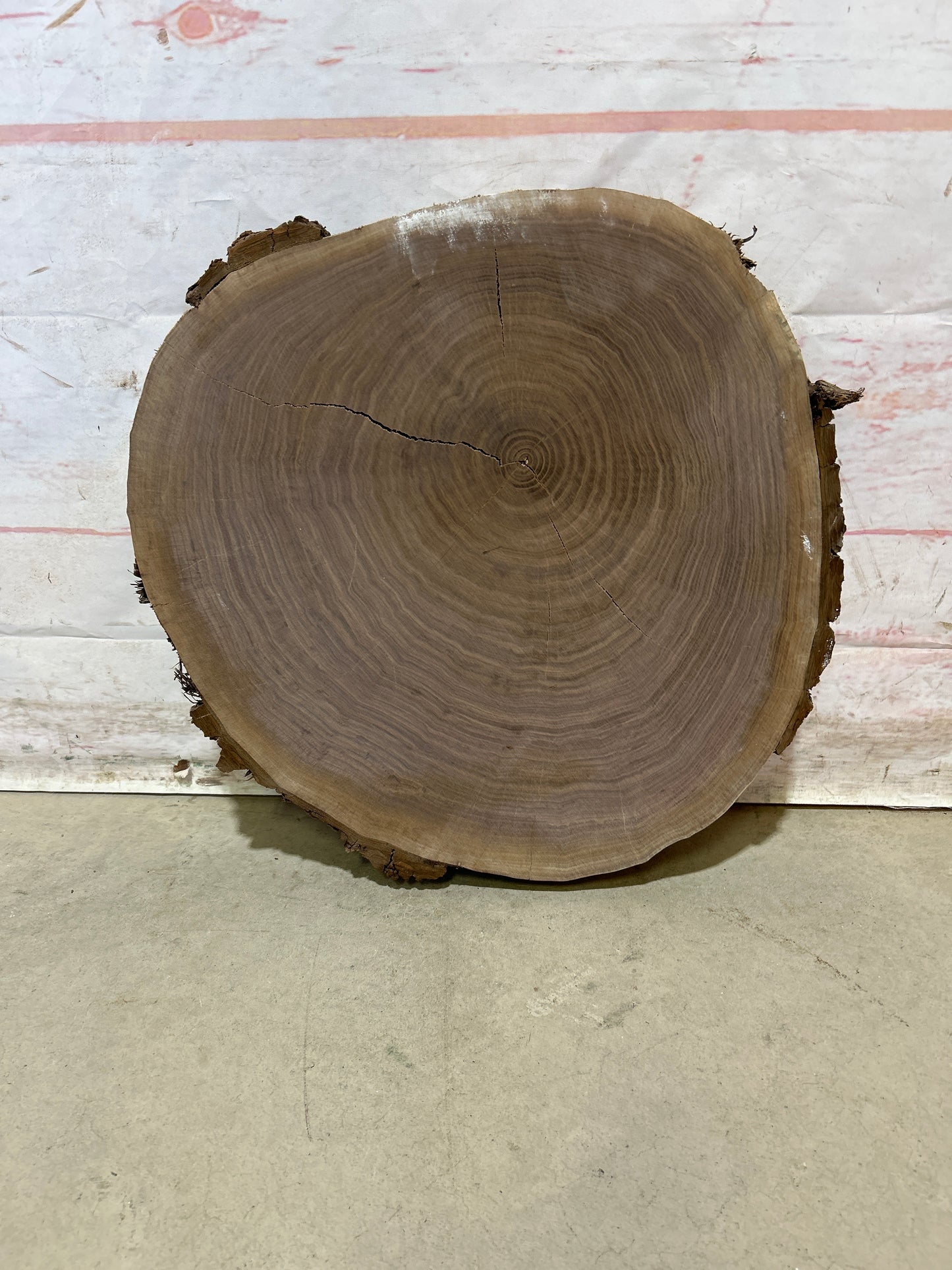 Live Edge Walnut Cookie Sku#28172M