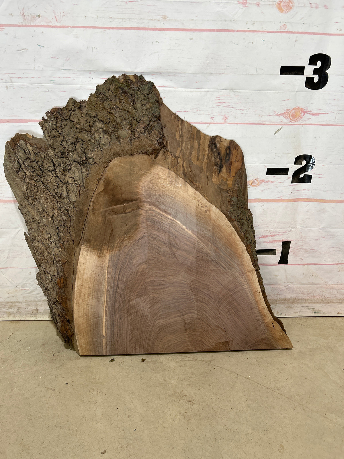 Live Edge Walnut Sku#28983M-25