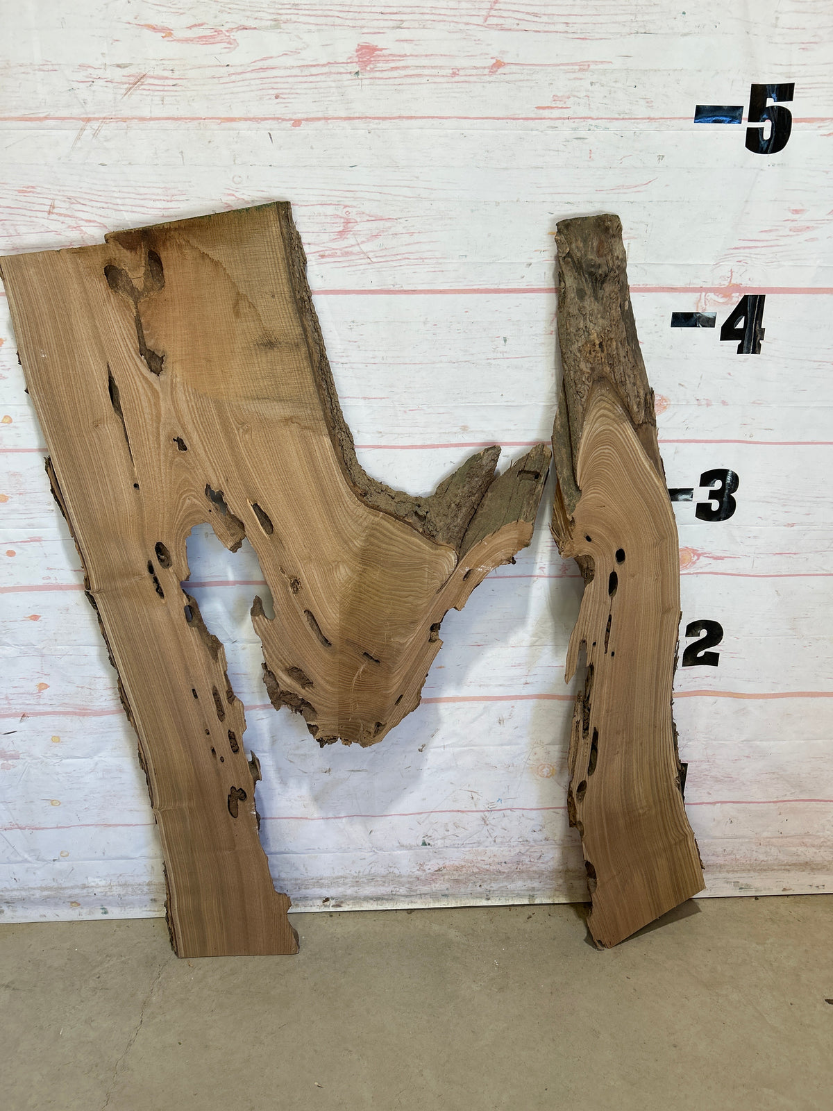 Live Edge Catalpa Sku#28671M-30