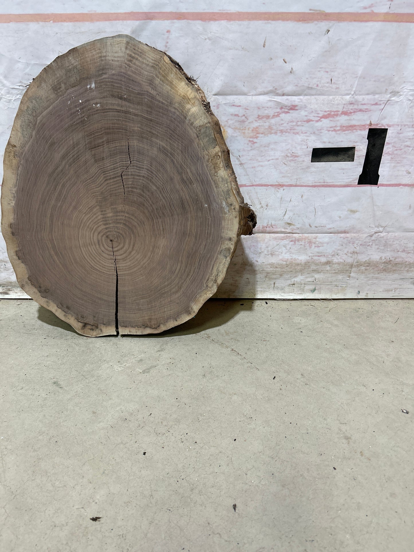 Live Edge Walnut Cookie Sku#28153M