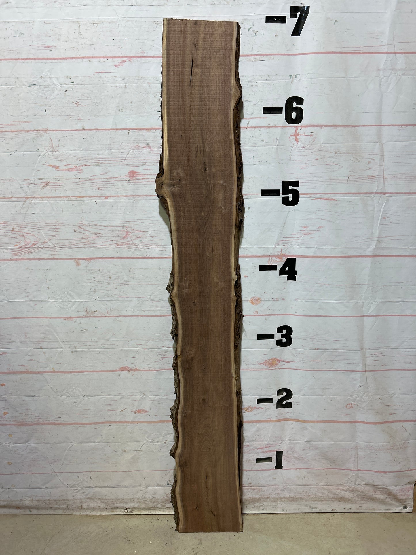 Live Edge Walnut Sku#27999M-11