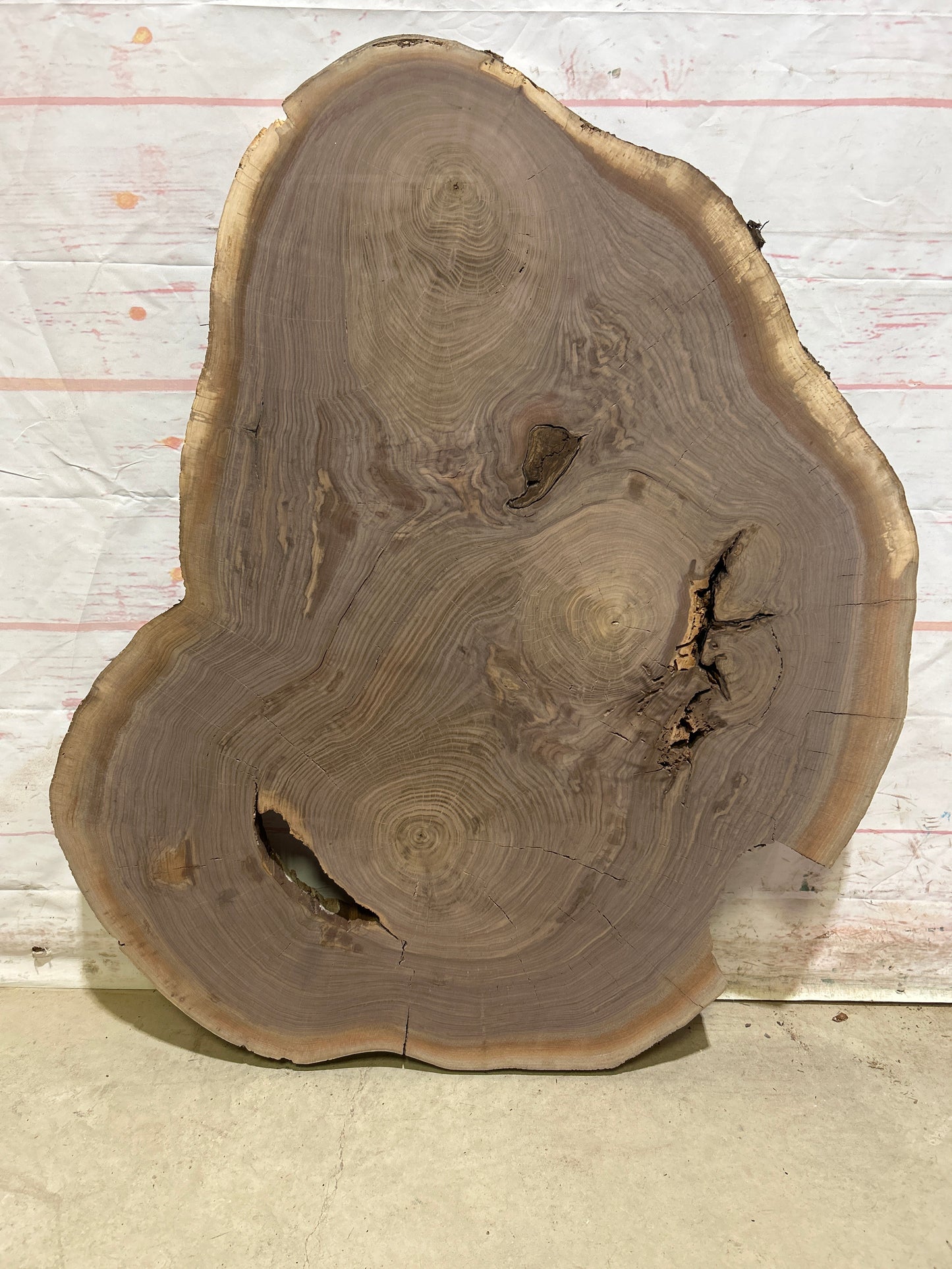 Live Edge Walnut Sku#27584N