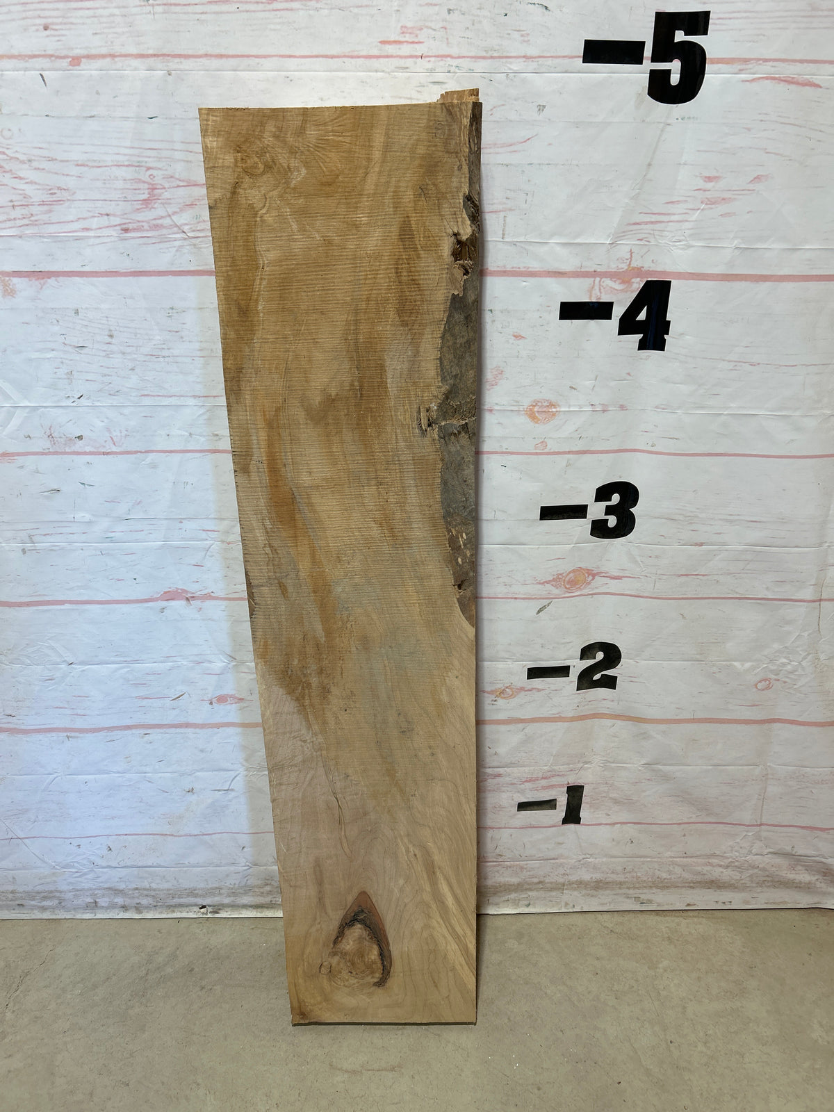 Turning Stock Soft Maple Sku#29026M-23
