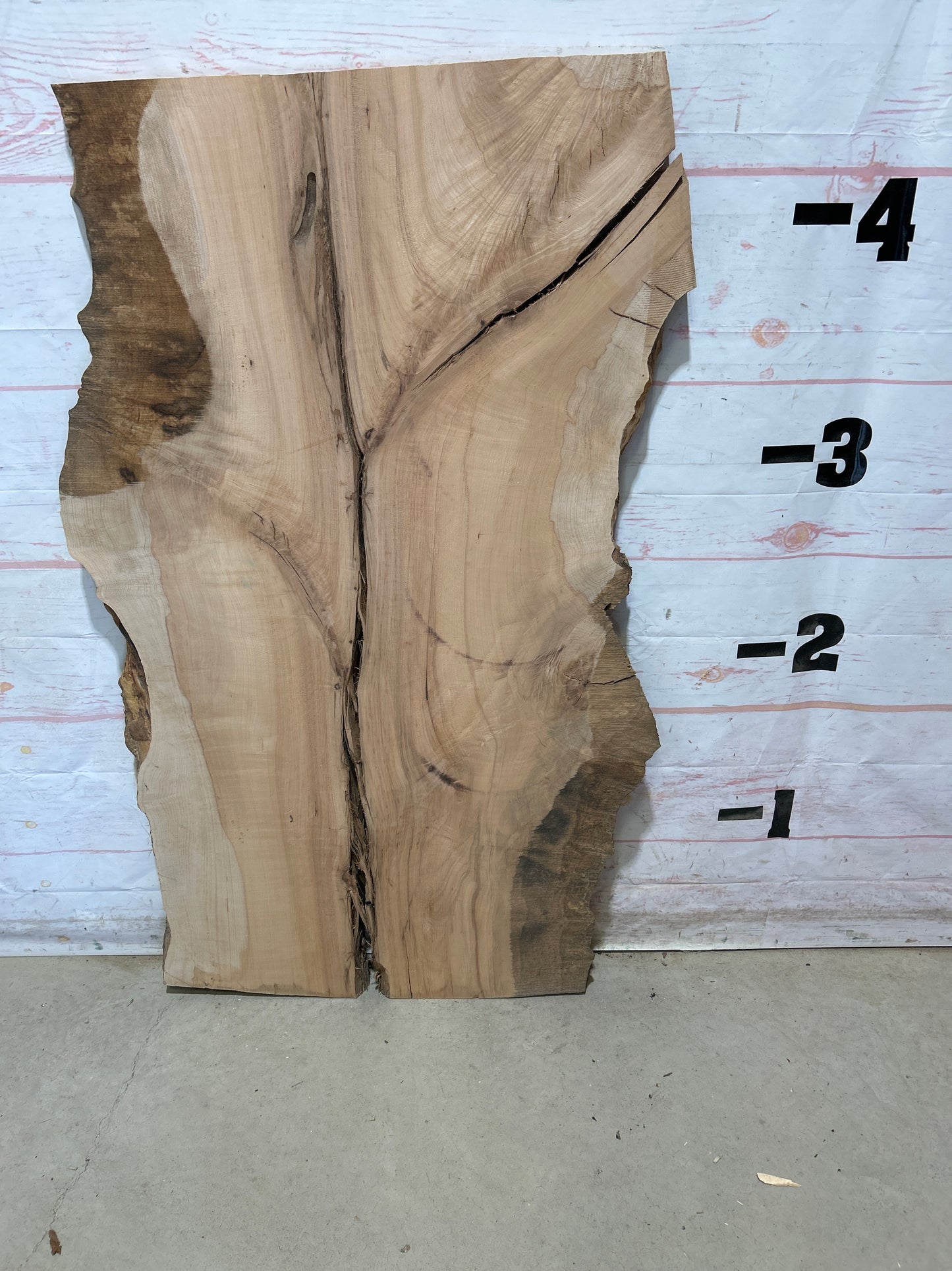 Live Edge Maple Sku#28261E-20