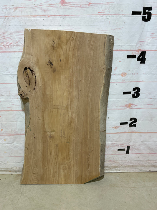 Live Edge Elm Sku#27498-31