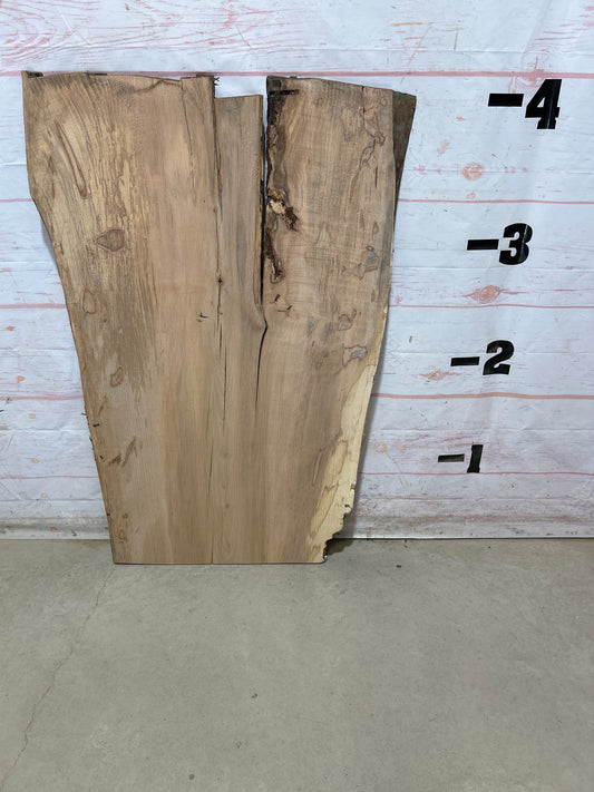 Live Edge Maple Sku#28253B-20