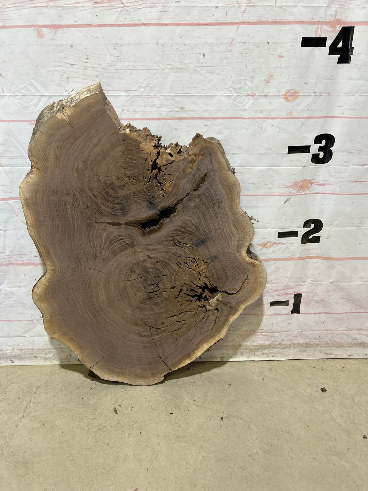 Live Edge Walnut Sku#28884M