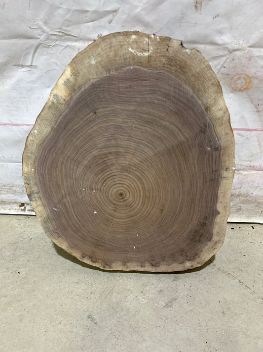 Live Edge Walnut Cookie Sku#28158M