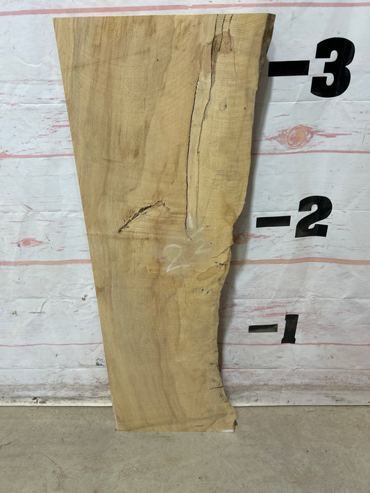 Live Edge Box Elder Sku#27725M-8