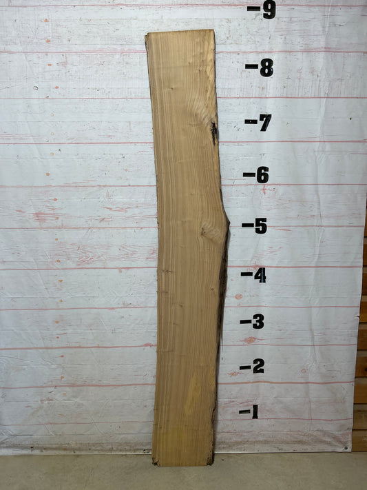 Live Edge Elm Sku#27504D-21