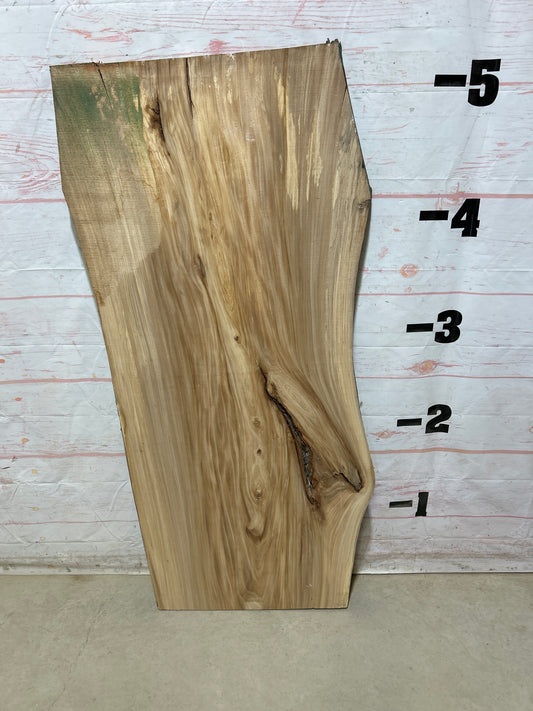 Live Edge Elm Sku#27510D-20