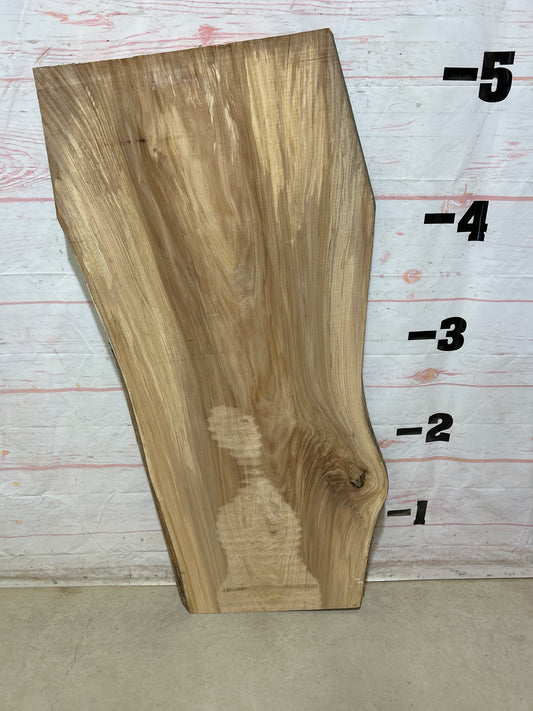Live Edge Elm Sku#27512D-20