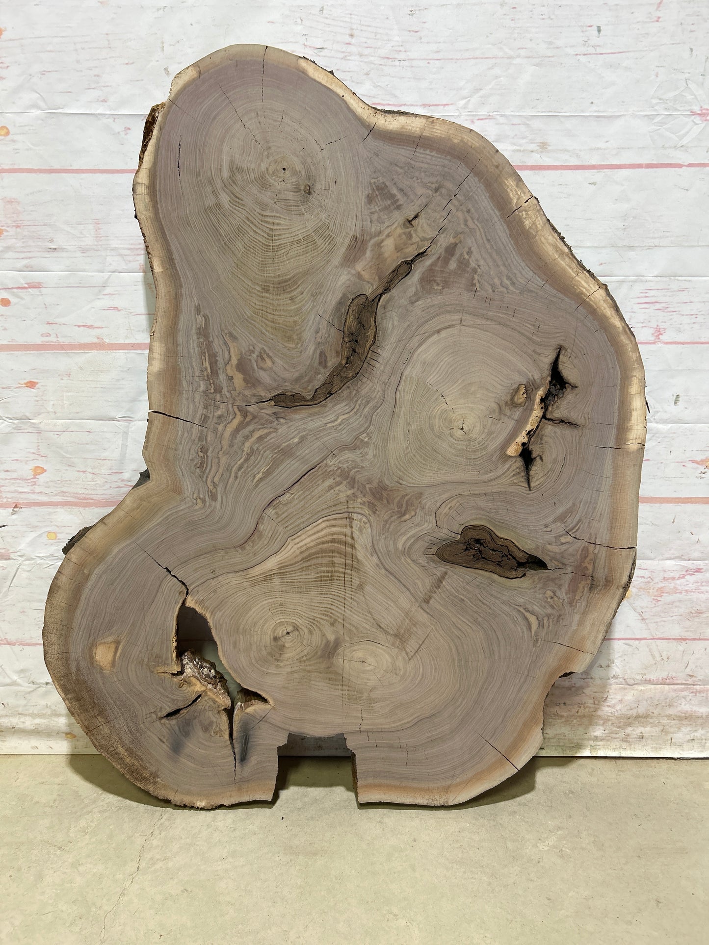 Live Edge Walnut Sku#27581N