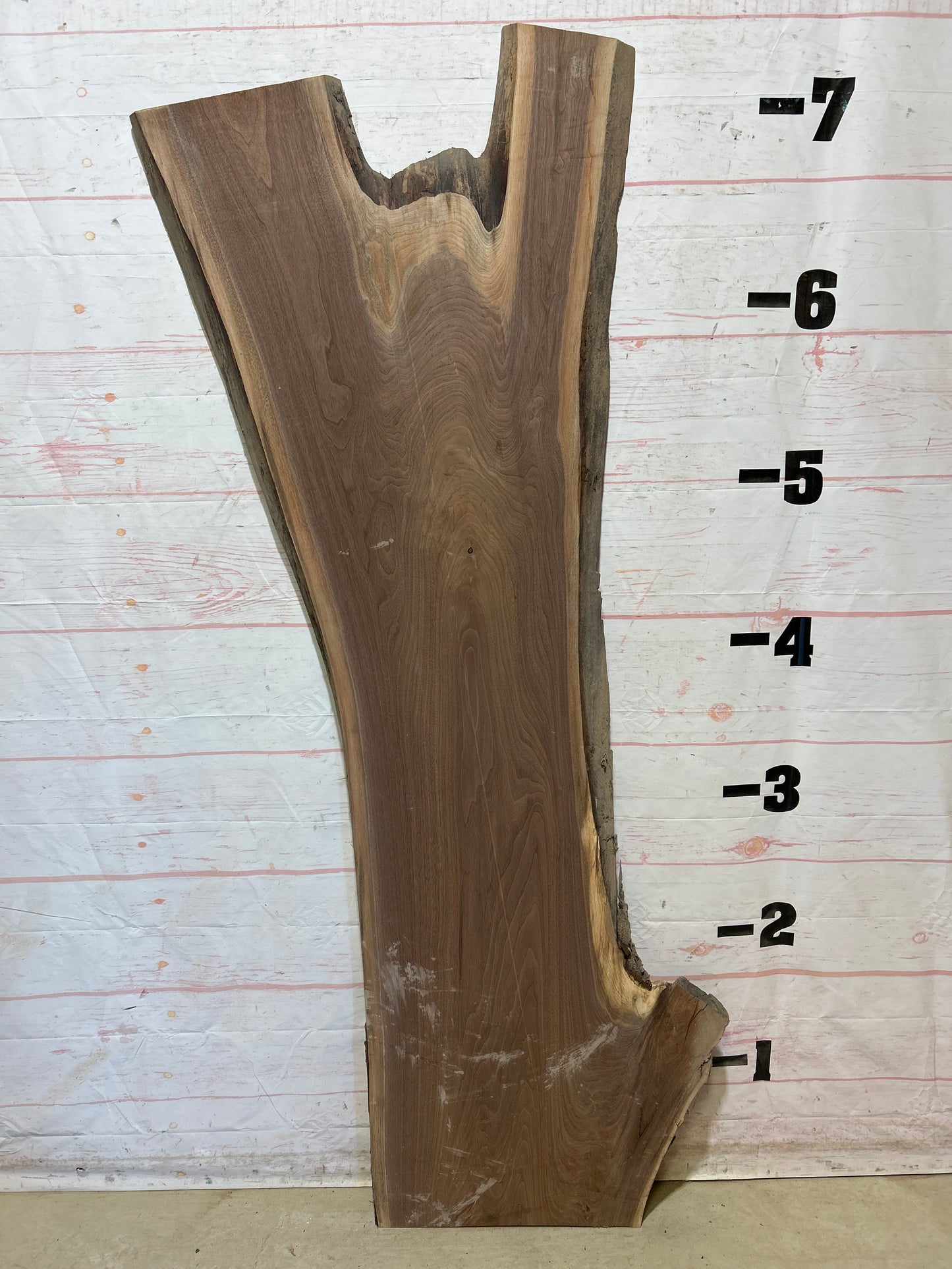 Live Edge Walnut Sku#27811-20