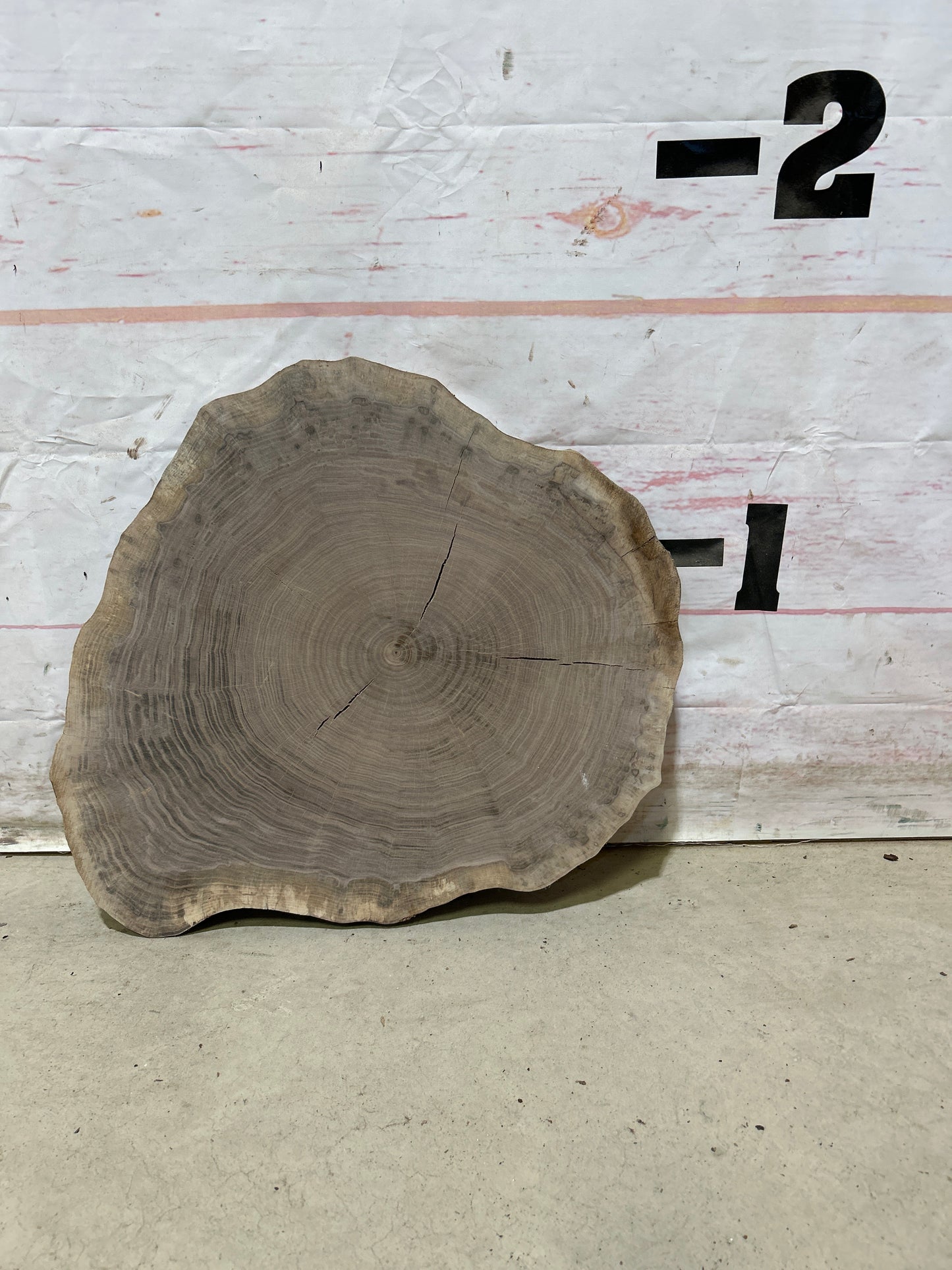 Live Edge Walnut Cookie Sku#27875M