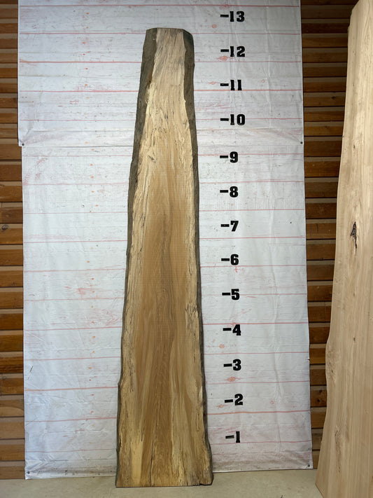 Live Edge Spalted Sycamore Sku#27491-66