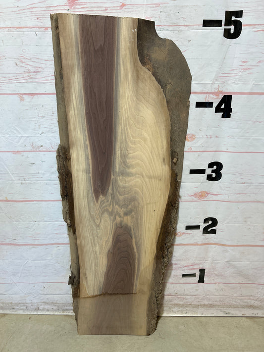 Live Edge Walnut Sku#27806-12